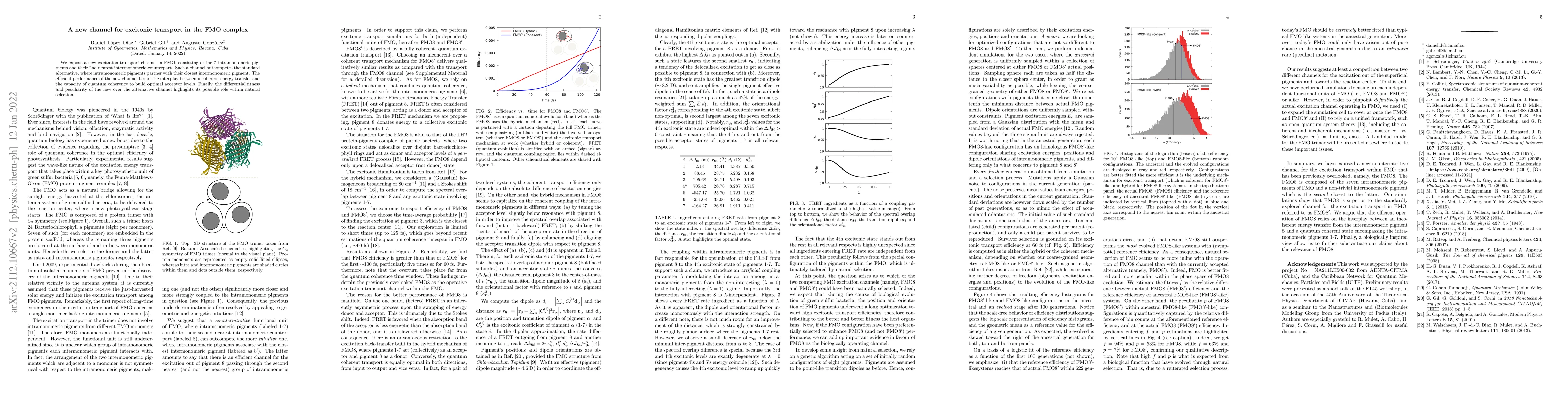 Thumbnail for A new channel for excitonic transport in the FMO complex