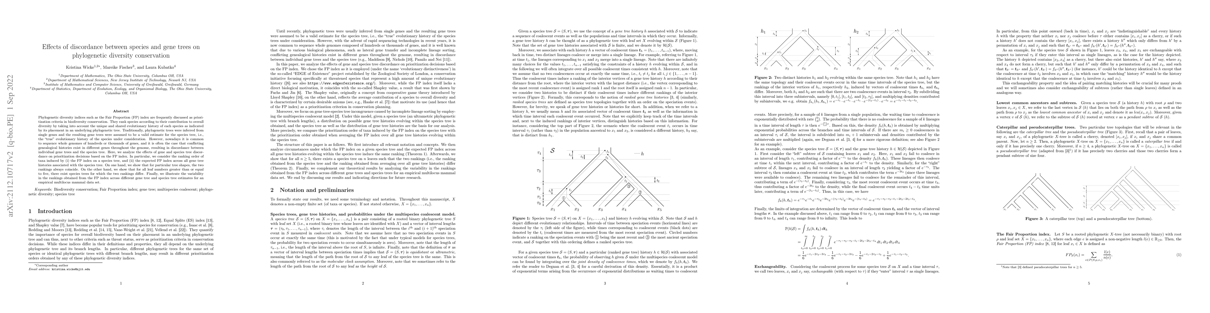 Thumbnail for Effects of discordance between species and gene trees on phylogenetic
  diversity conservation