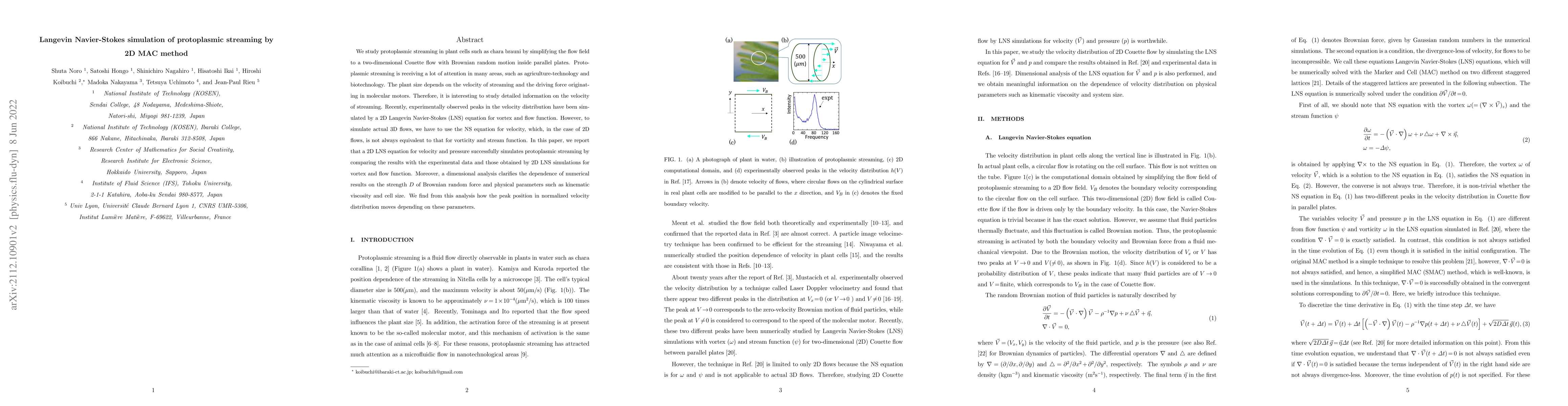 Thumbnail for Langevin Navier-Stokes simulation of protoplasmic streaming by 2D MAC
  method
