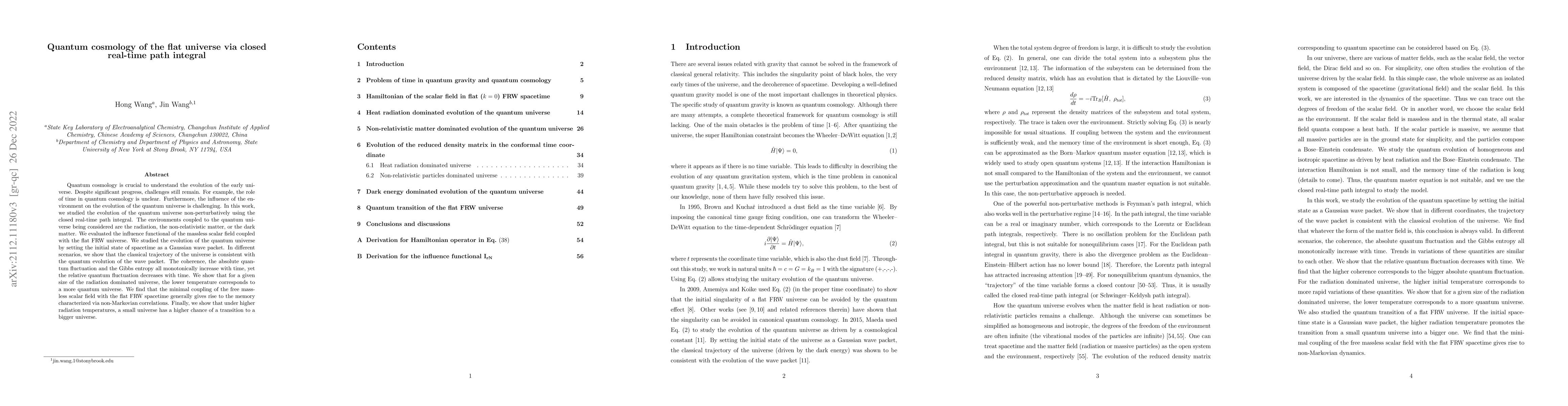 Thumbnail for Quantum cosmology of the flat universe via closed real-time path
  integral