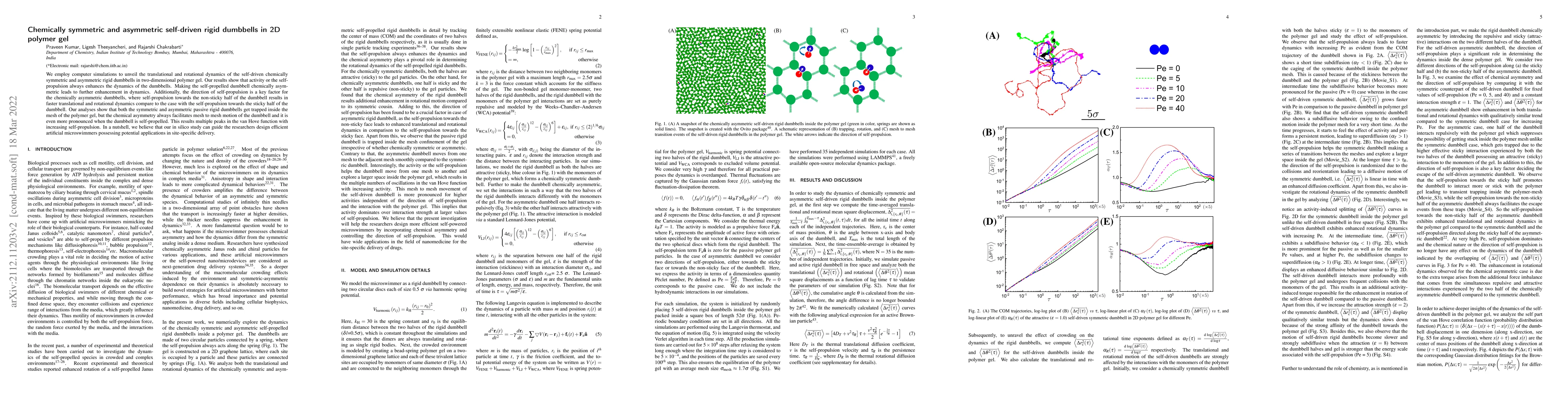 Thumbnail for Chemically symmetric and asymmetric self-driven rigid dumbbells in 2D
  polymer gel
