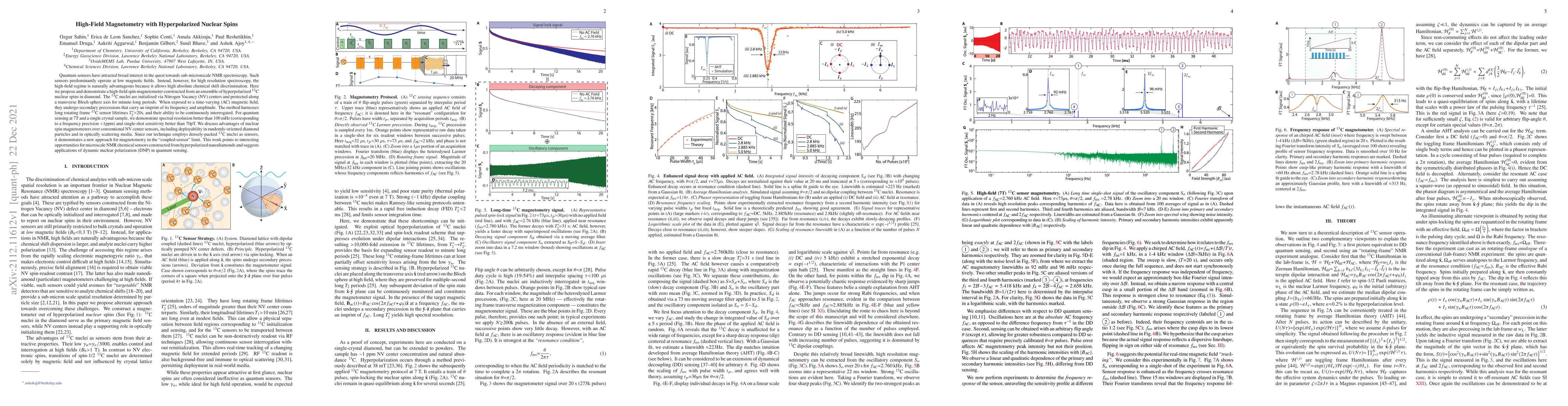 Thumbnail for High-Field Magnetometry with Hyperpolarized Nuclear Spins