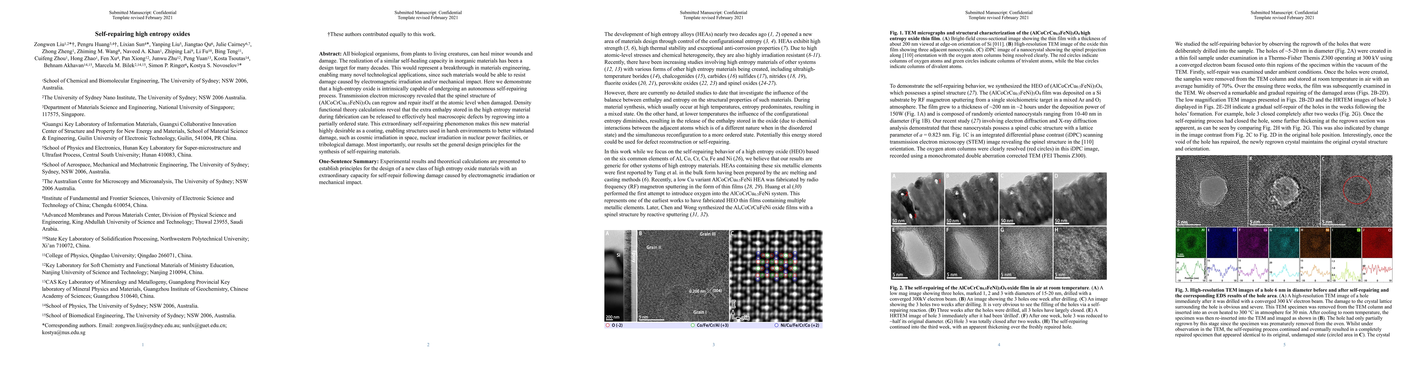 Thumbnail for Self-repairing high entropy oxides