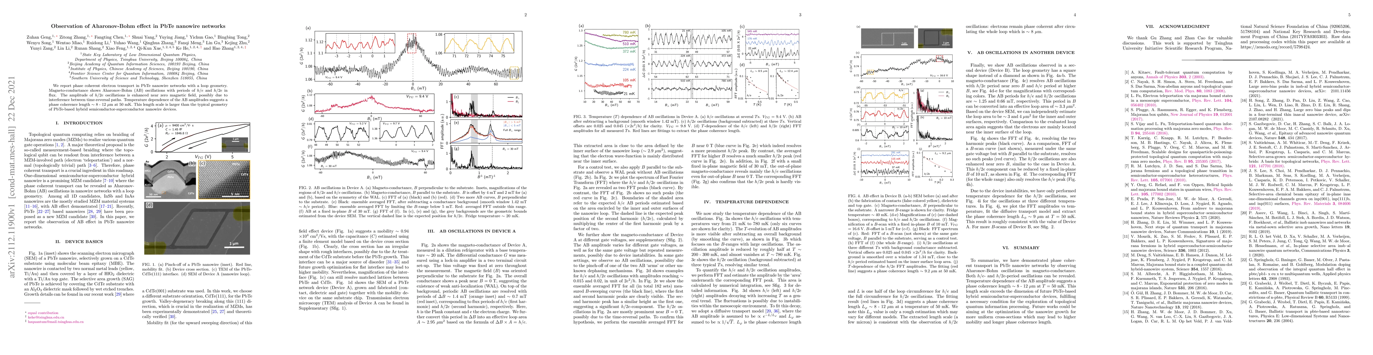 Thumbnail for Observation of Aharonov-Bohm effect in PbTe nanowire networks