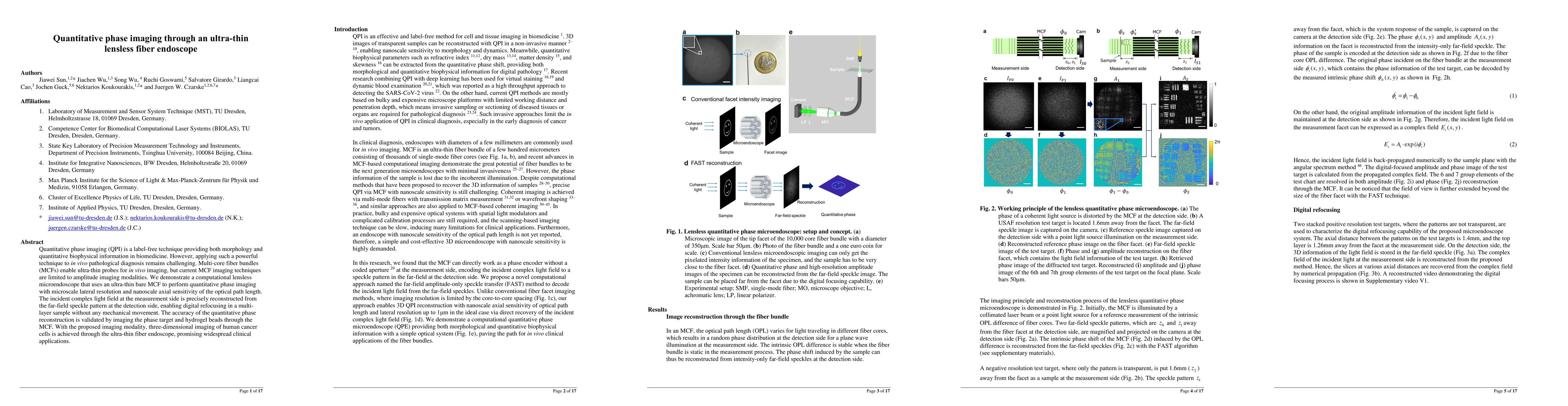 Thumbnail for Quantitative phase imaging through an ultra-thin lensless fiber
  endoscope