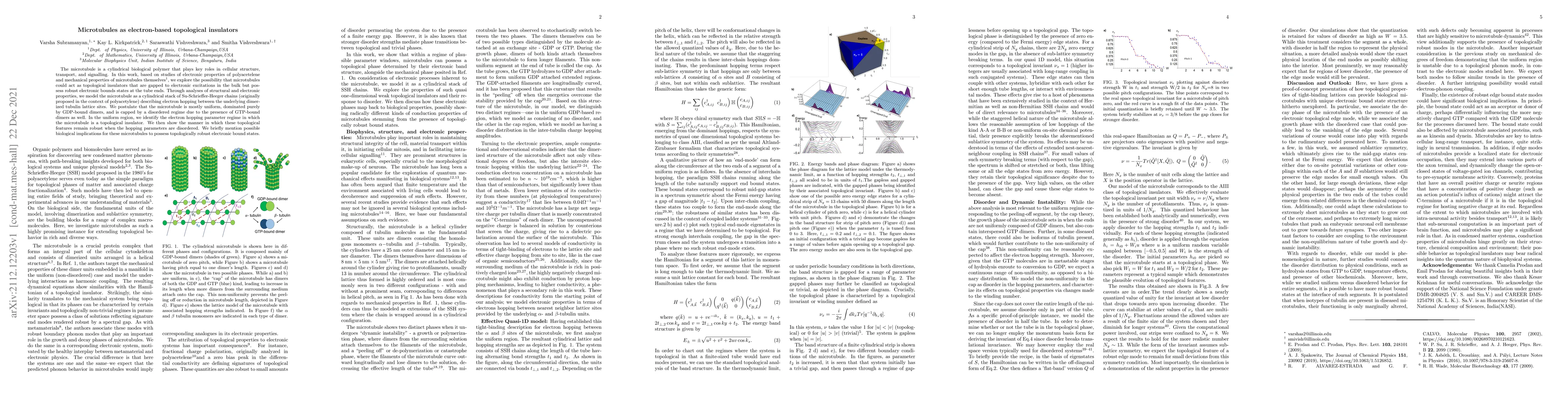 Thumbnail for Microtubules as electron-based topological insulators