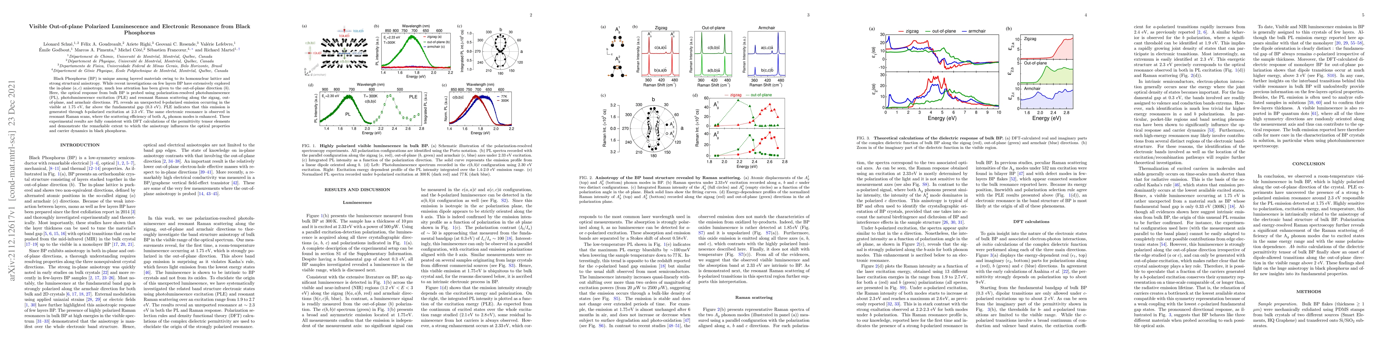 Thumbnail for Visible Out-of-plane Polarized Luminescence and Electronic Resonance
  from Black Phosphorus