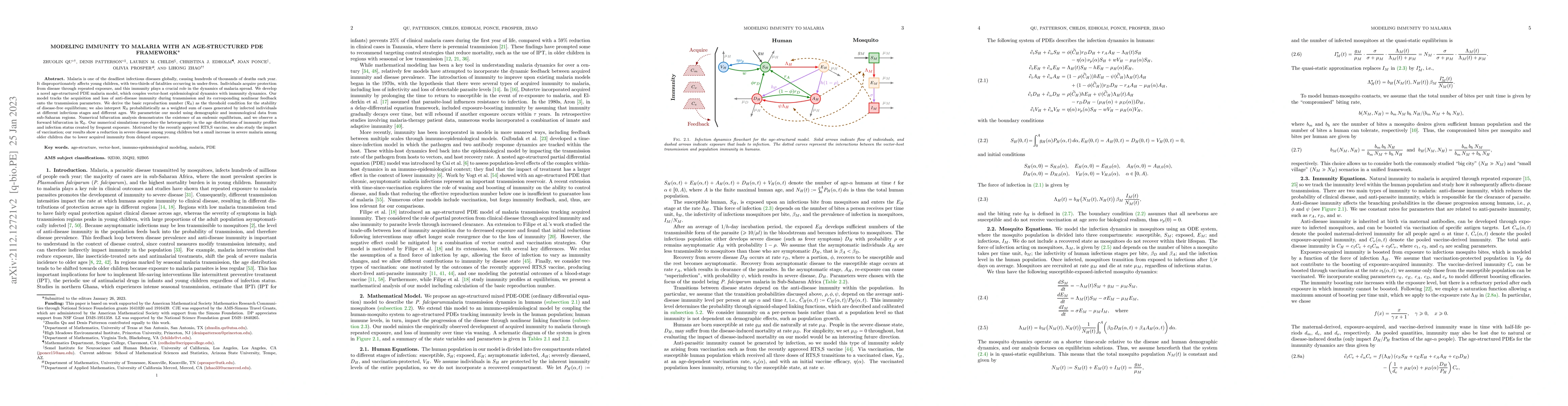 Thumbnail for Modeling Immunity to Malaria with an Age-Structured PDE Framework