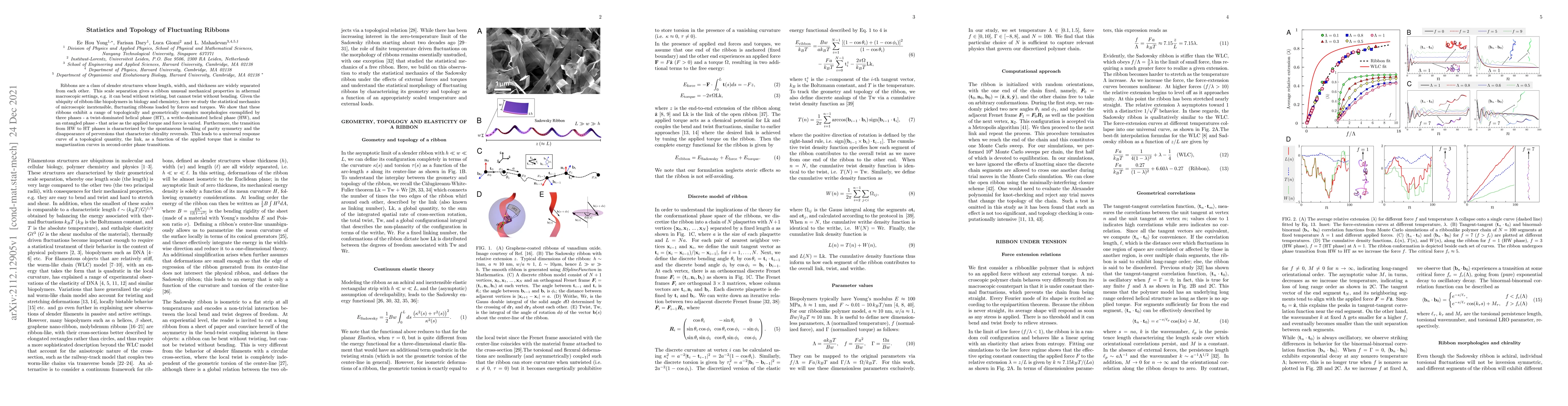 Thumbnail for Statistics and Topology of Fluctuating Ribbons