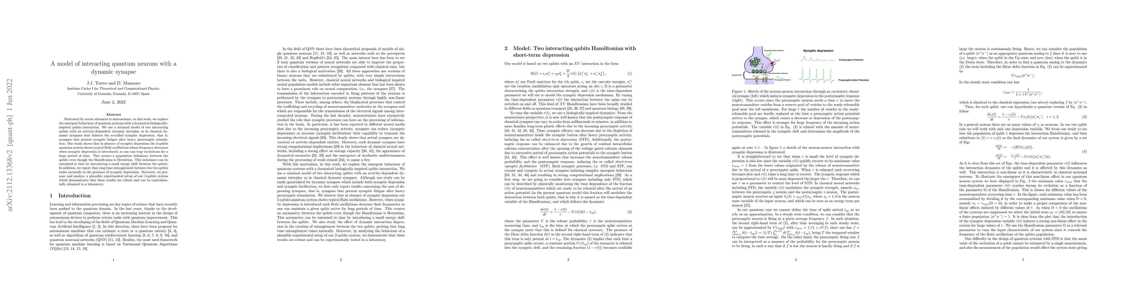 Thumbnail for A model of interacting quantum neurons with a dynamic synapse