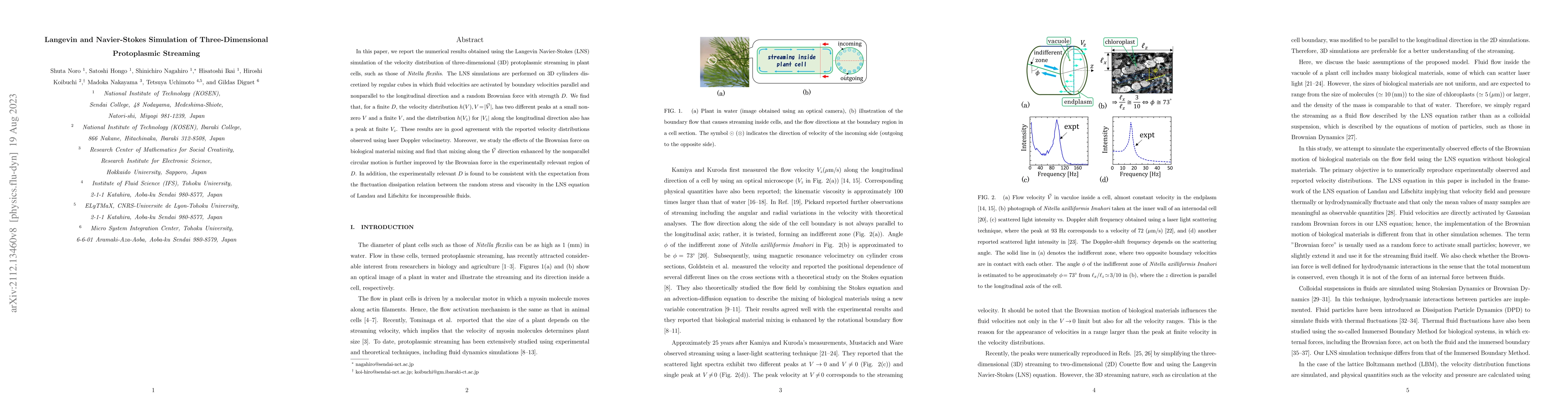 Thumbnail for Langevin and Navier-Stokes Simulation of Three-Dimensional Protoplasmic
  Streaming