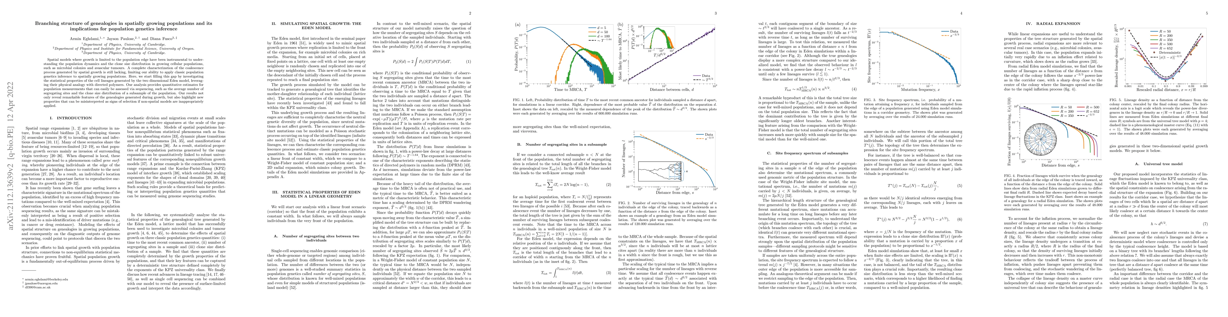 Thumbnail for Branching structure of genealogies in spatially growing populations and
  its implications for population genetics inference
