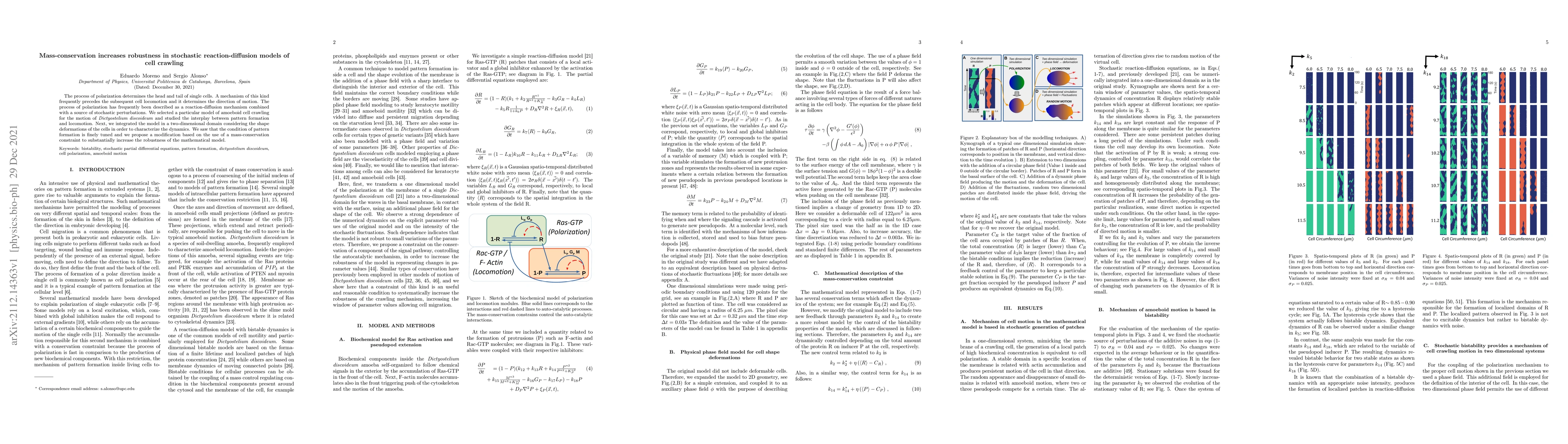 Thumbnail for Mass-conservation increases robustness in stochastic reaction-diffusion
  models of cell crawling
