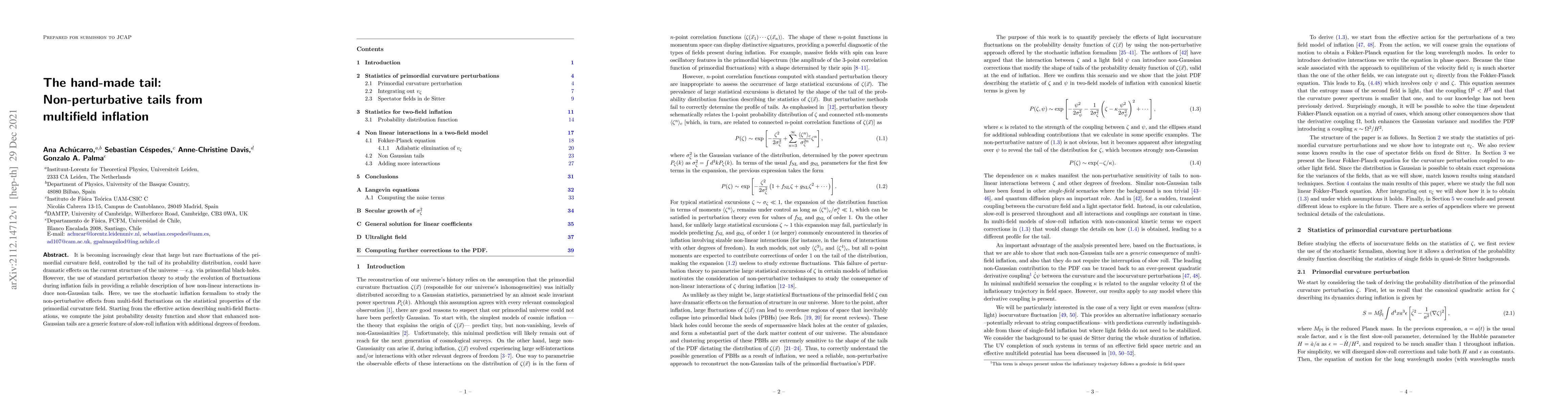 Thumbnail for The hand-made tail: Non-perturbative tails from multifield inflation