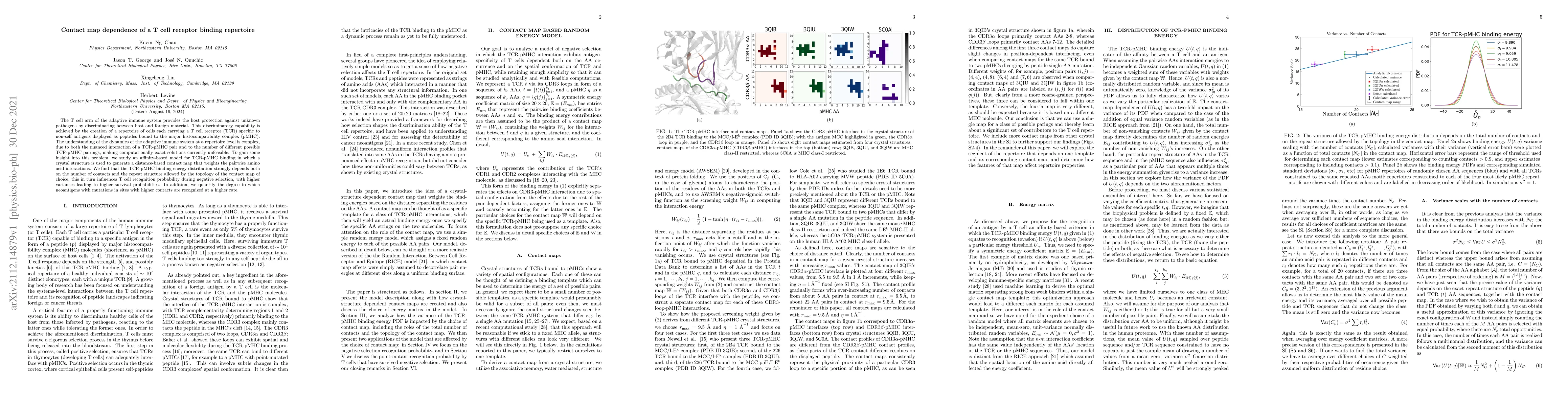 Thumbnail for Contact map dependence of a T cell receptor binding repertoire