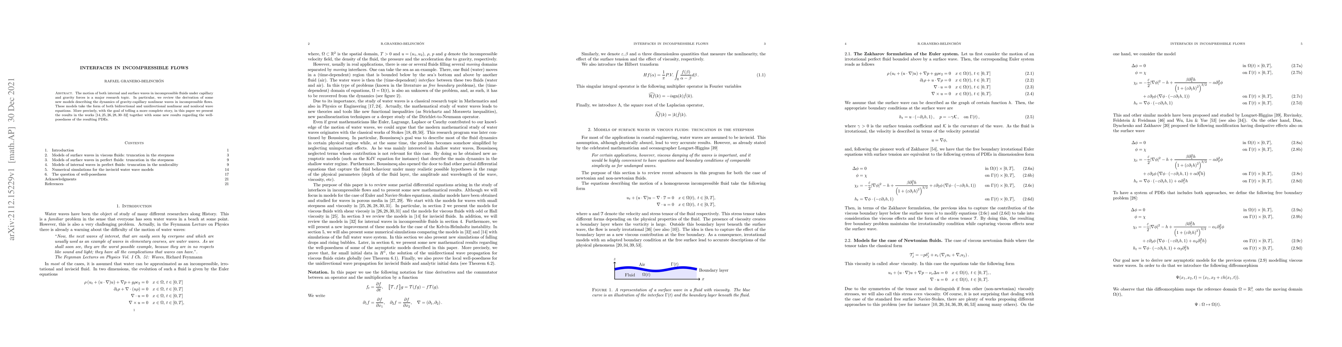 Thumbnail for Interfaces in incompressible flows