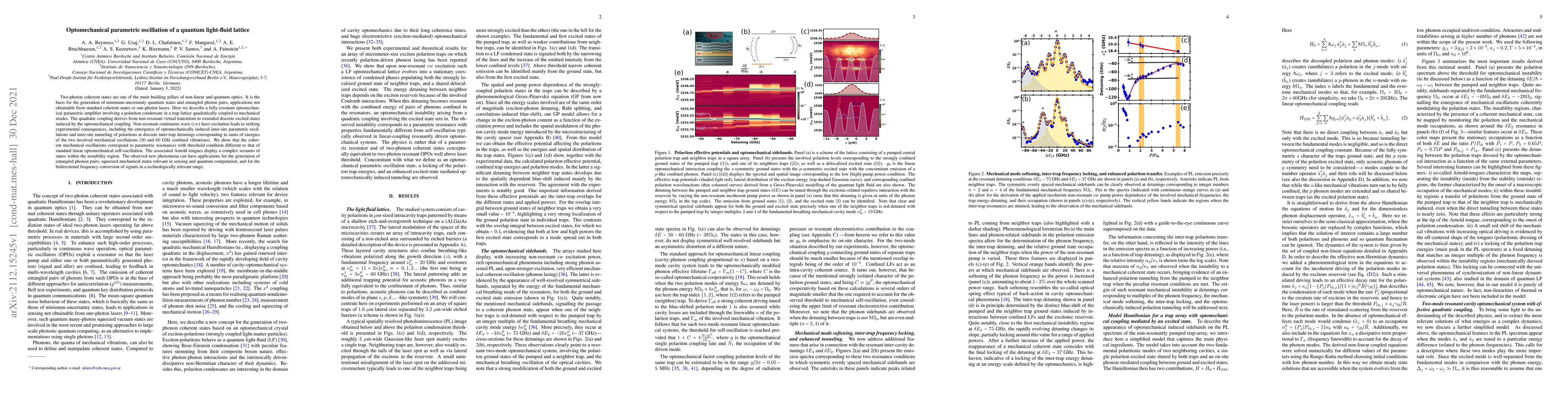 Thumbnail for Optomechanical parametric oscillation of a quantum light-fluid lattice