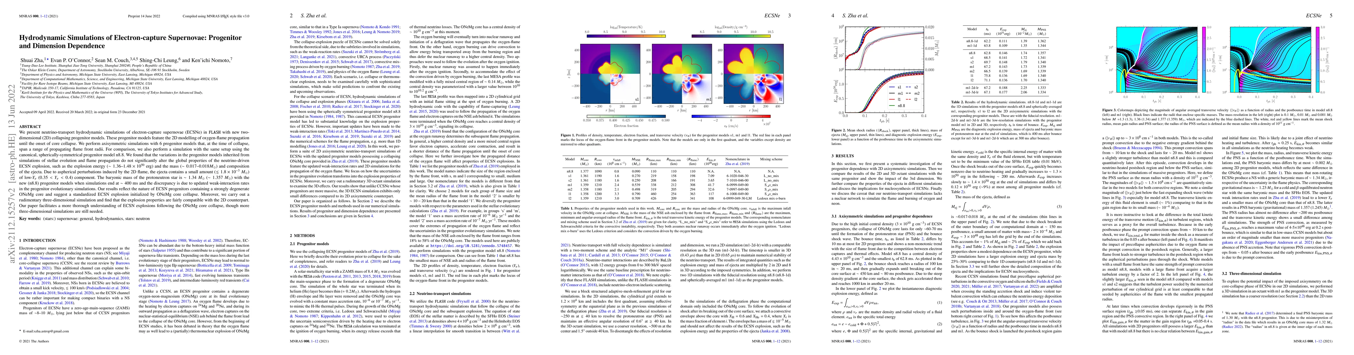 Thumbnail for Hydrodynamic Simulations of Electron-capture Supernovae: Progenitor and
  Dimension Dependence