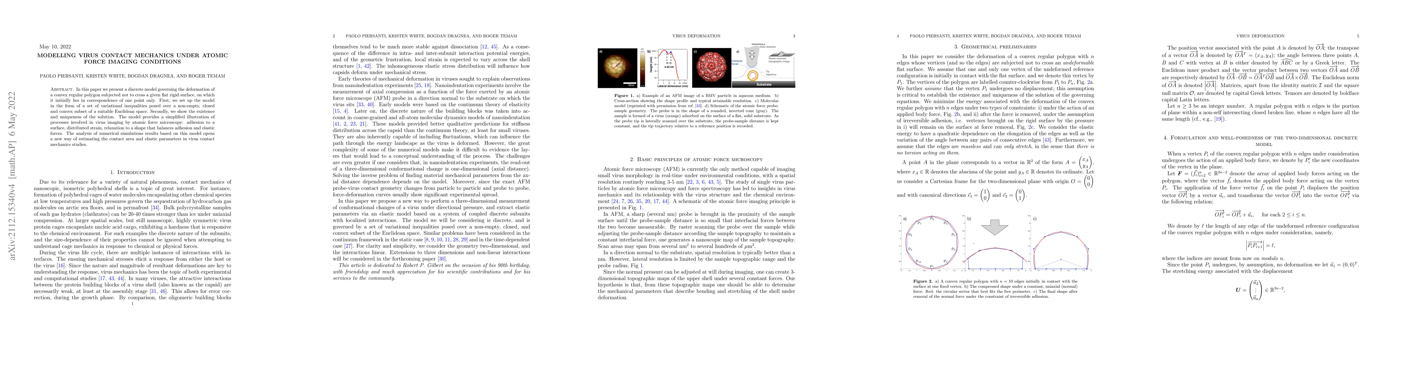 Thumbnail for Modelling Virus Contact Mechanics under Atomic Force Imaging Conditions