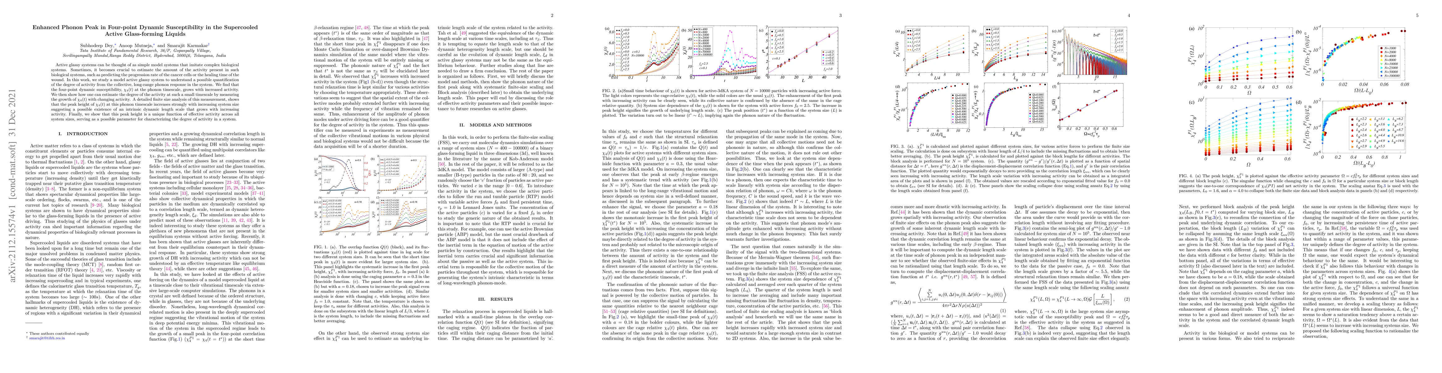 Thumbnail for Enhanced Phonon Peak in Four-point Dynamic Susceptibility in the
  Supercooled Active Glass-forming Liquids