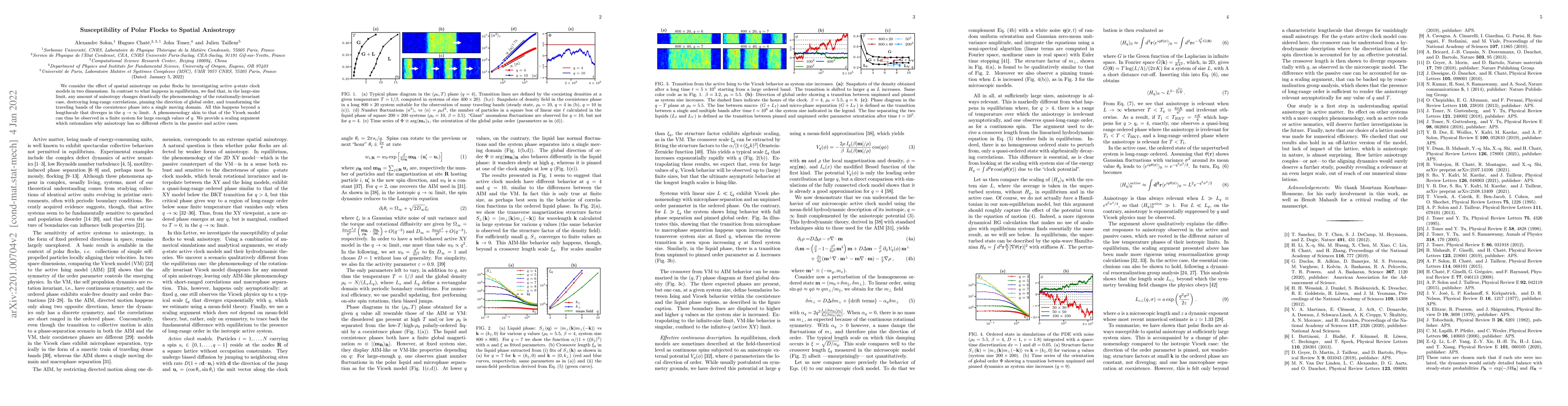 Thumbnail for Susceptibility of Polar Flocks to Spatial Anisotropy