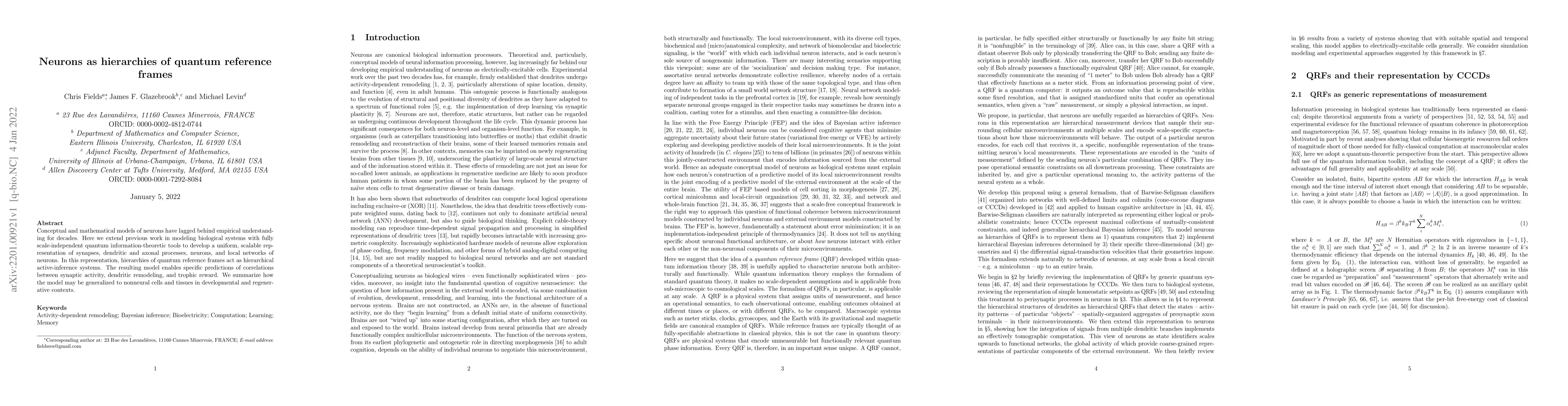 Thumbnail for Neurons as hierarchies of quantum reference frames