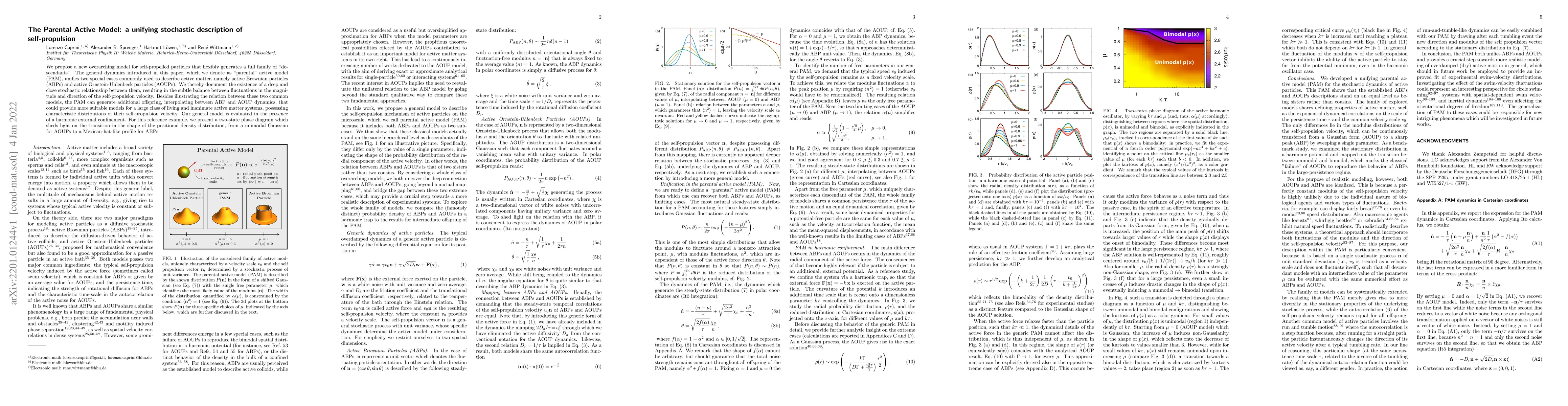Thumbnail for The Parental Active Model: a unifying stochastic description of
  self-propulsion