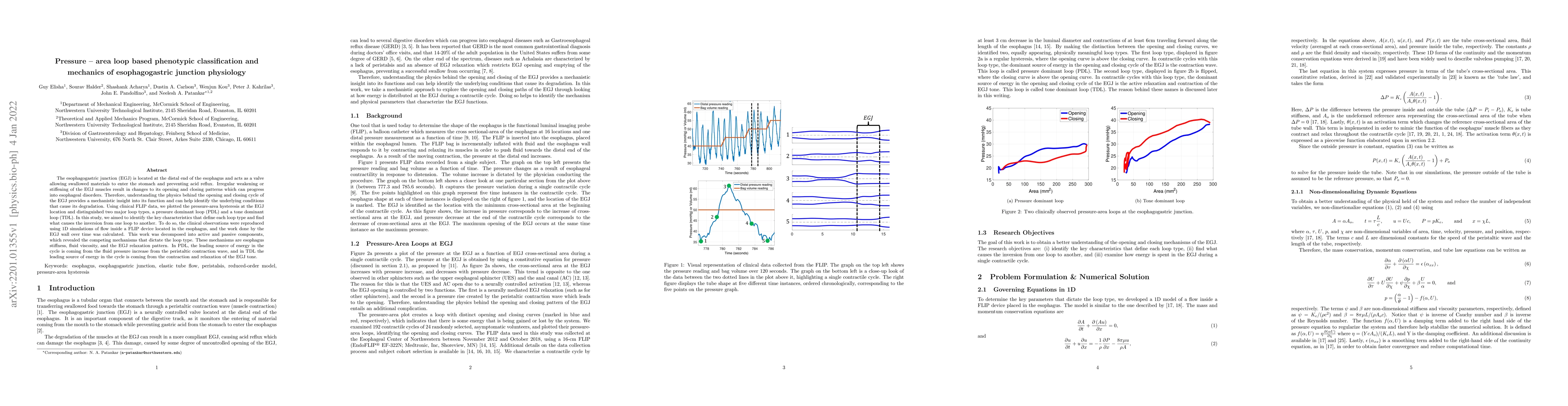 Thumbnail for Pressure -- area loop based phenotypic classification and mechanics of
  esophagogastric junction physiology