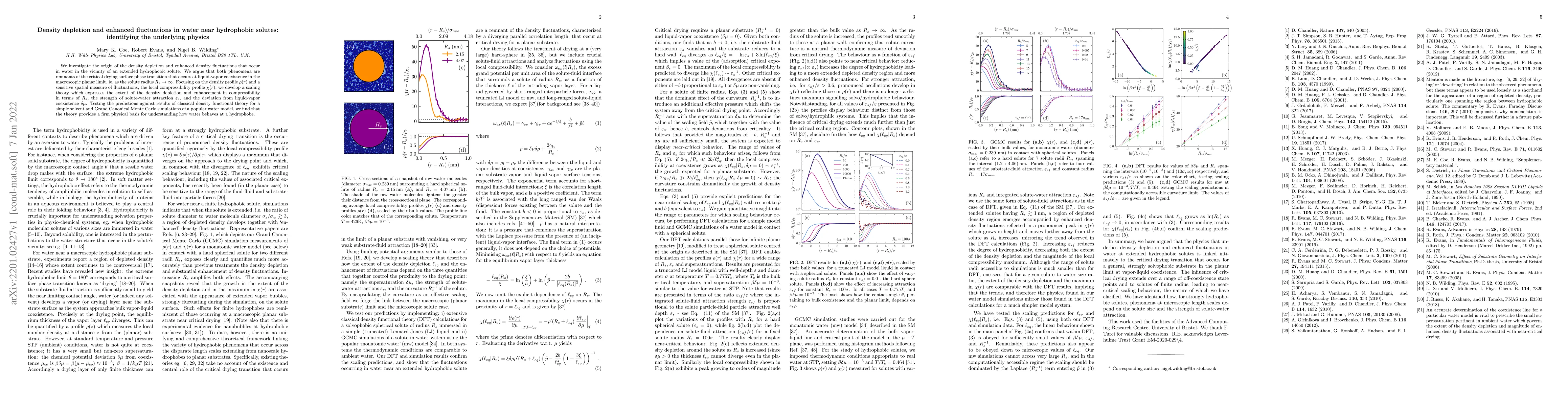 Thumbnail for Density depletion and enhanced fluctuations in water near hydrophobic
  solutes: identifying the underlying physics