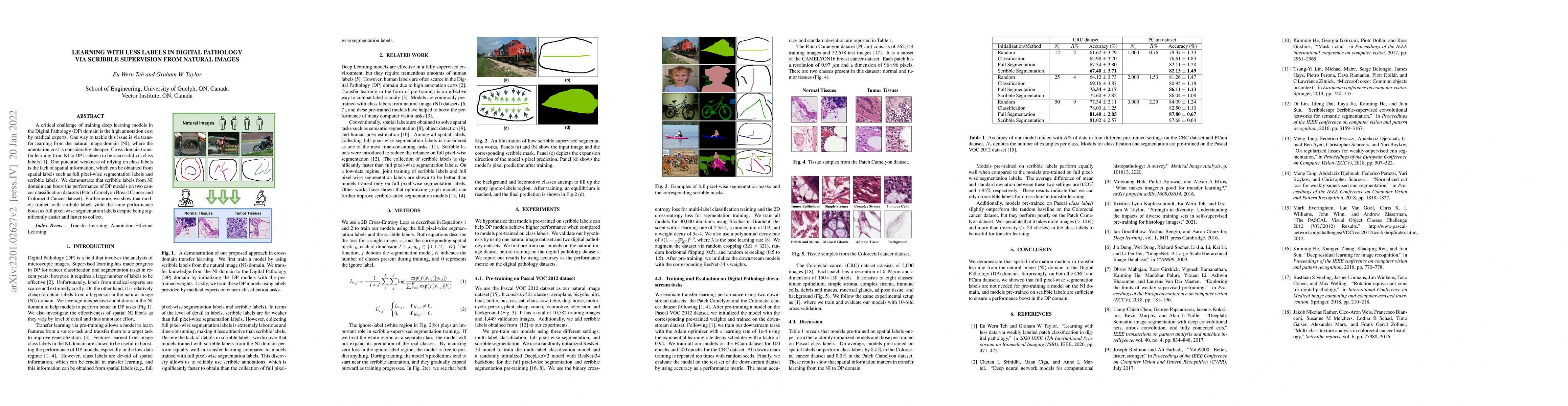 Thumbnail for Learning with Less Labels in Digital Pathology via Scribble Supervision
  from Natural Images