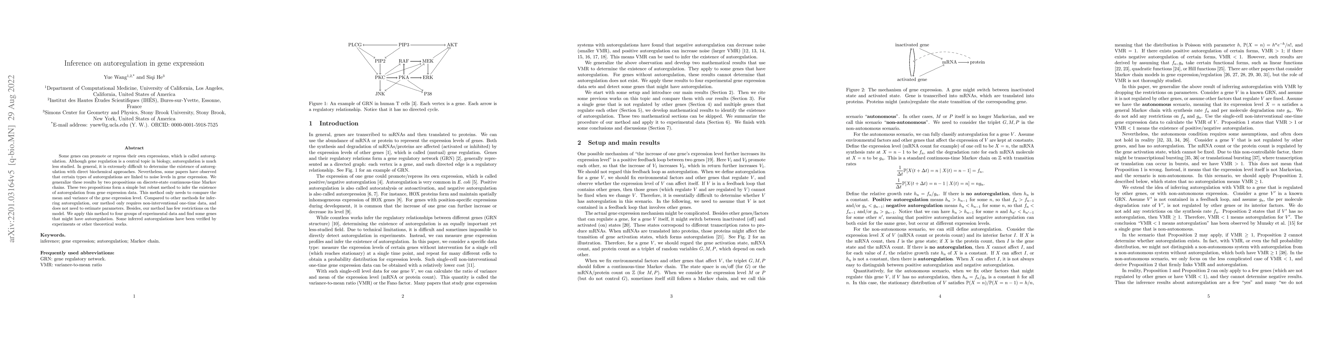 Thumbnail for Inference on autoregulation in gene expression
