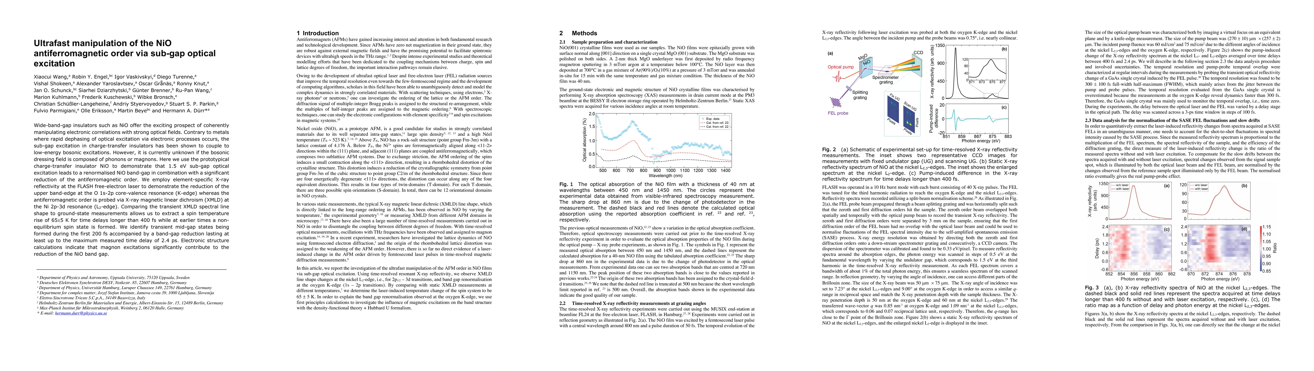Thumbnail for Ultrafast manipulation of the NiO antiferromagnetic order via sub-gap
  optical excitation