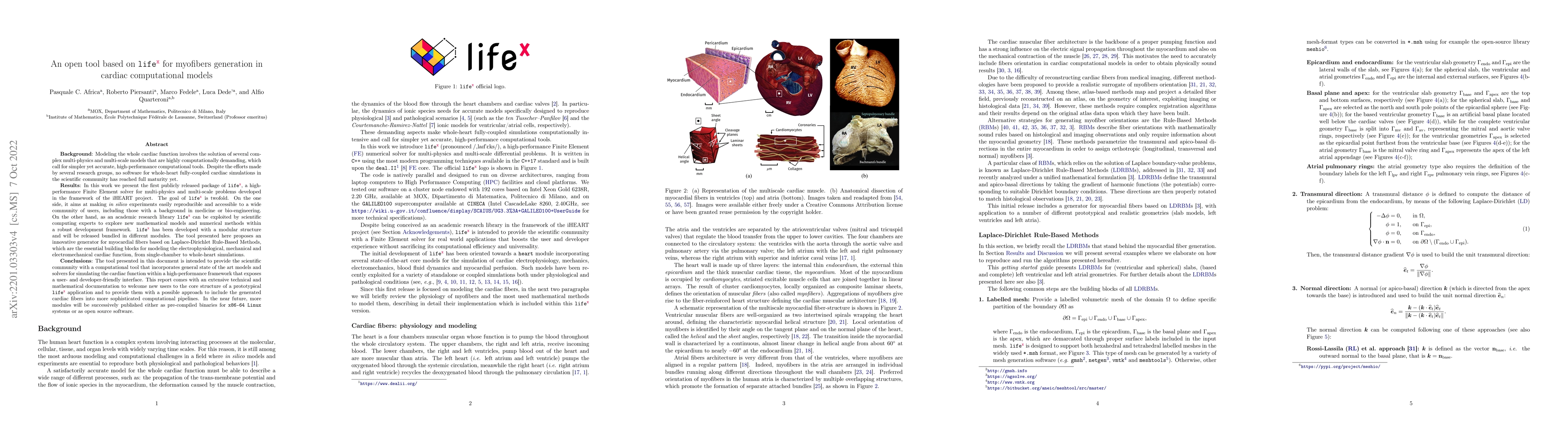 Thumbnail for An open tool based on lifex for myofibers generation in cardiac
  computational models