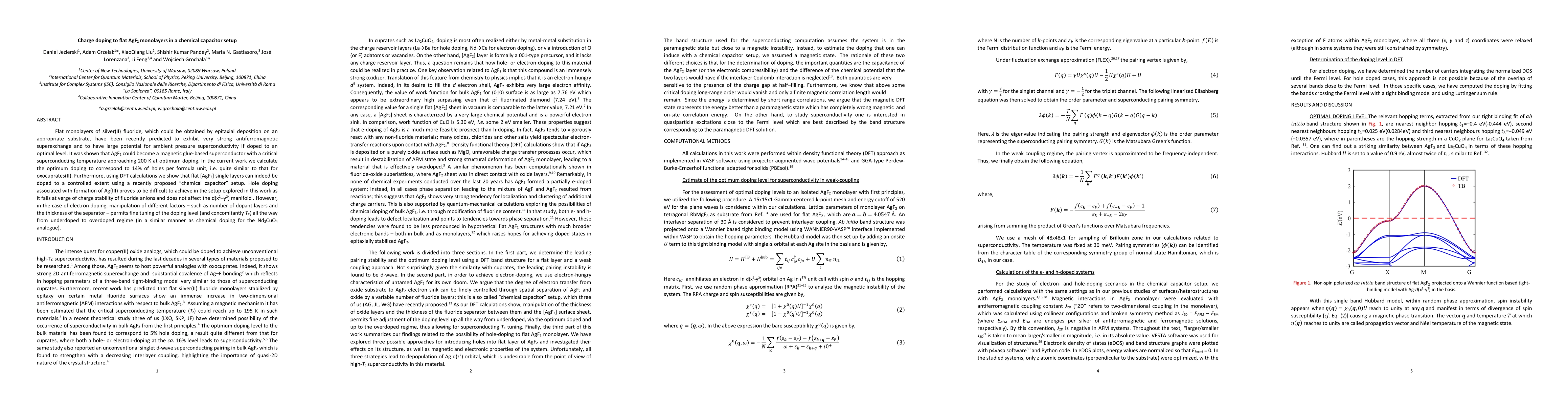 Thumbnail for Charge doping to flat AgF2 monolayers in a chemical capacitor setup