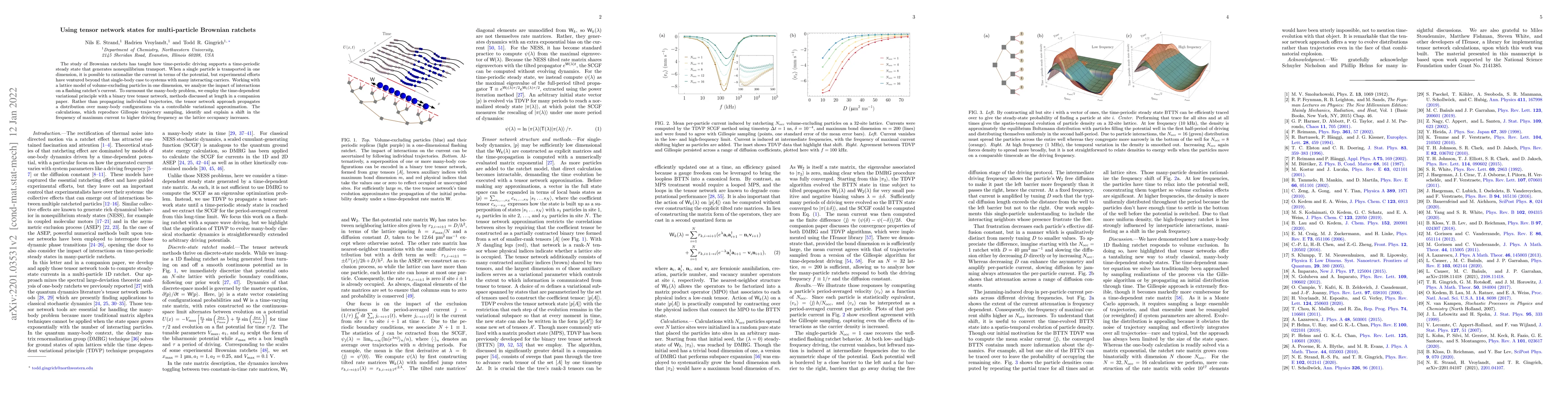 Thumbnail for Using tensor network states for multi-particle Brownian ratchets