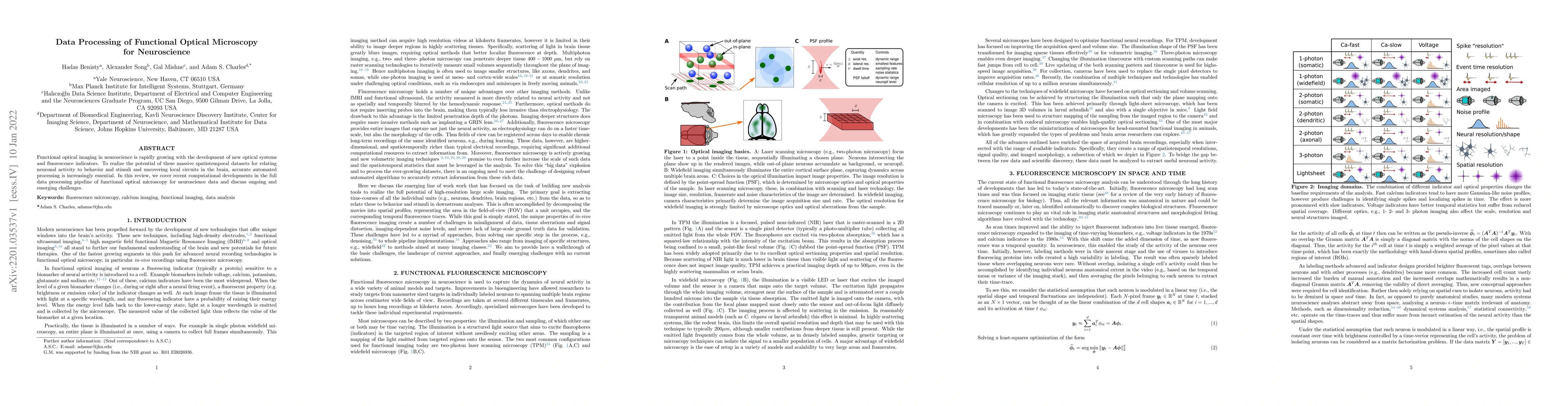Thumbnail for Data Processing of Functional Optical Microscopy for Neuroscience