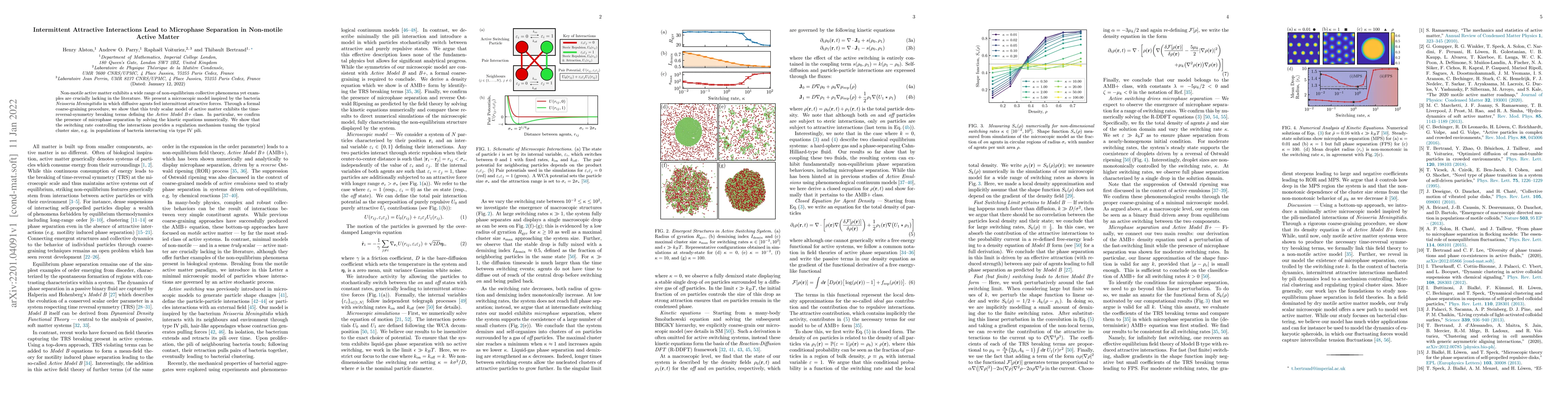 Thumbnail for Intermittent Attractive Interactions Lead to Microphase Separation in
  Non-motile Active Matter