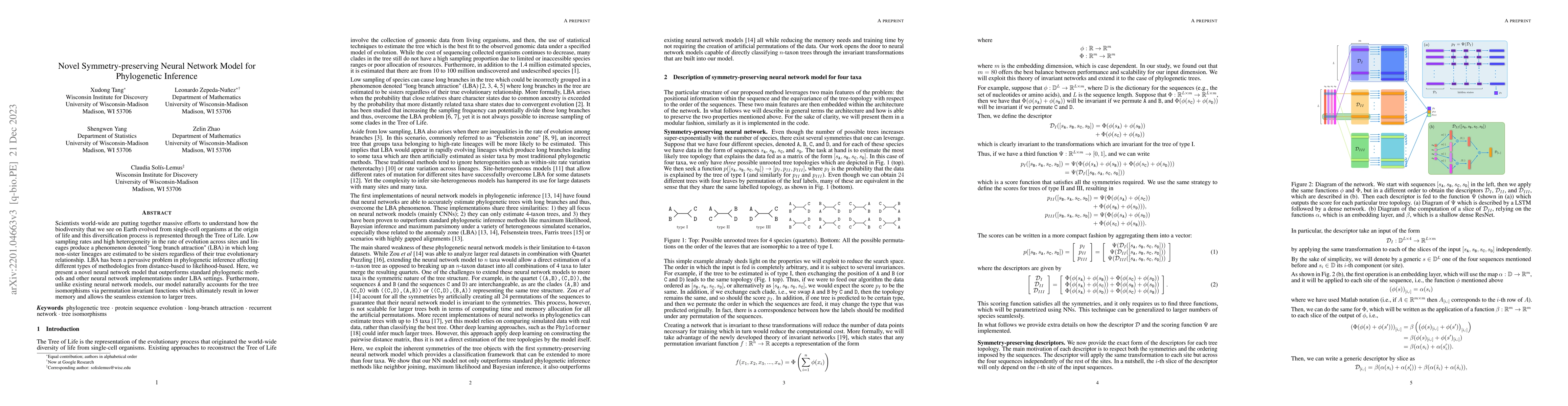 Thumbnail for Novel Symmetry-preserving Neural Network Model for Phylogenetic
  Inference