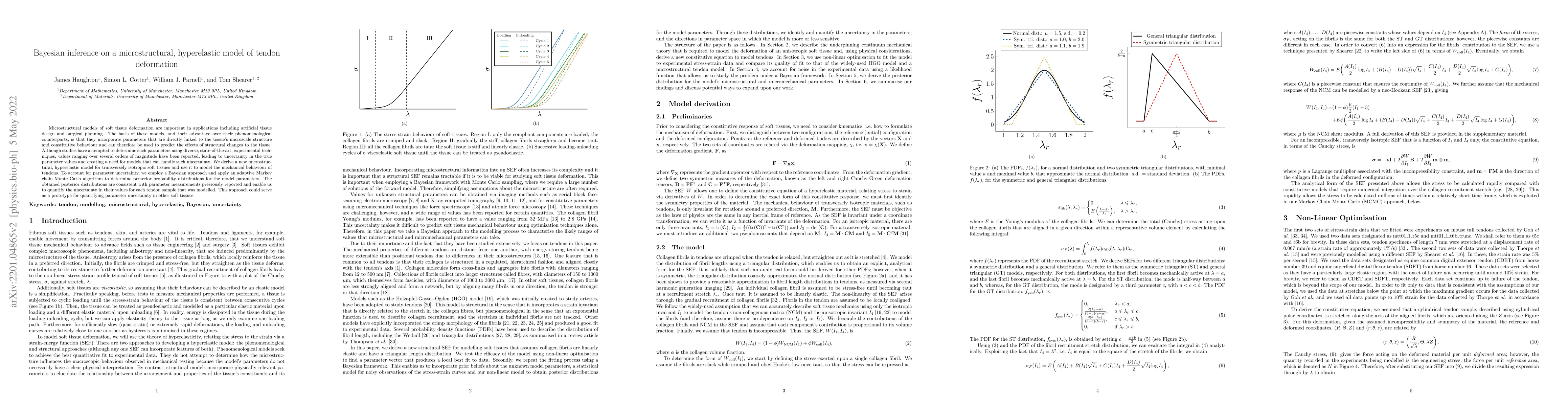 Thumbnail for Bayesian inference on a microstructural, hyperelastic model of tendon
  deformation
