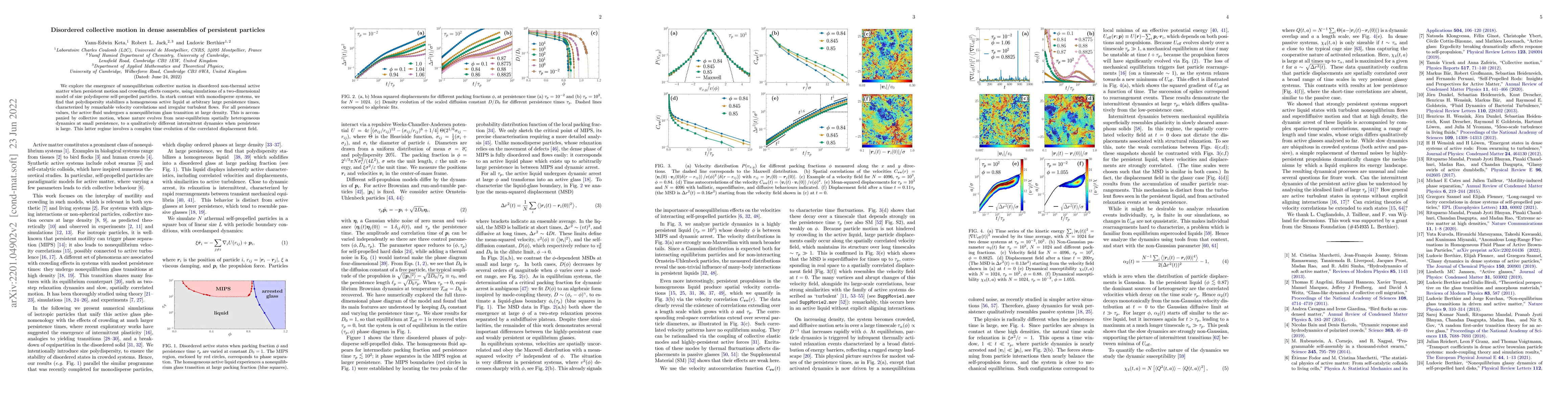Thumbnail for Disordered collective motion in dense assemblies of persistent particles