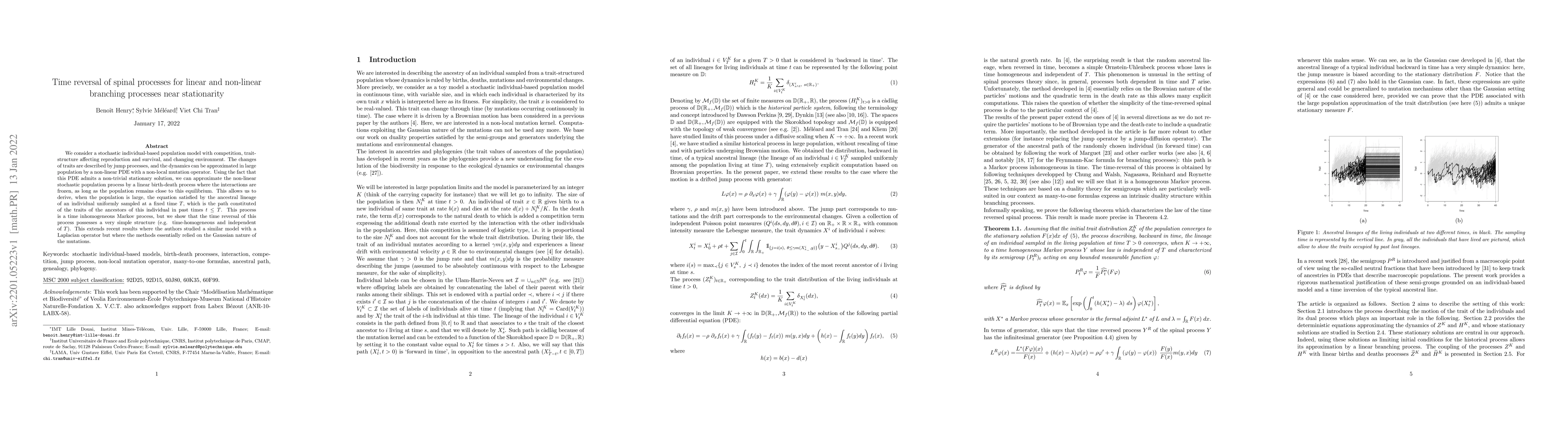 Thumbnail for Time reversal of spinal processes for linear and non-linear branching
  processes near stationarity