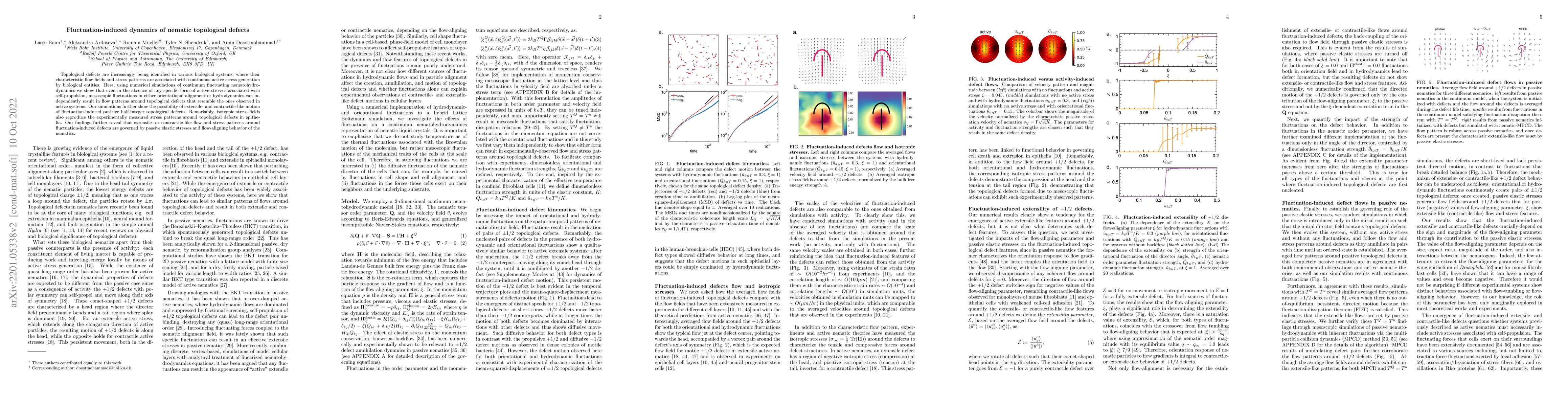 Thumbnail for Fluctuation-induced dynamics of nematic topological defects