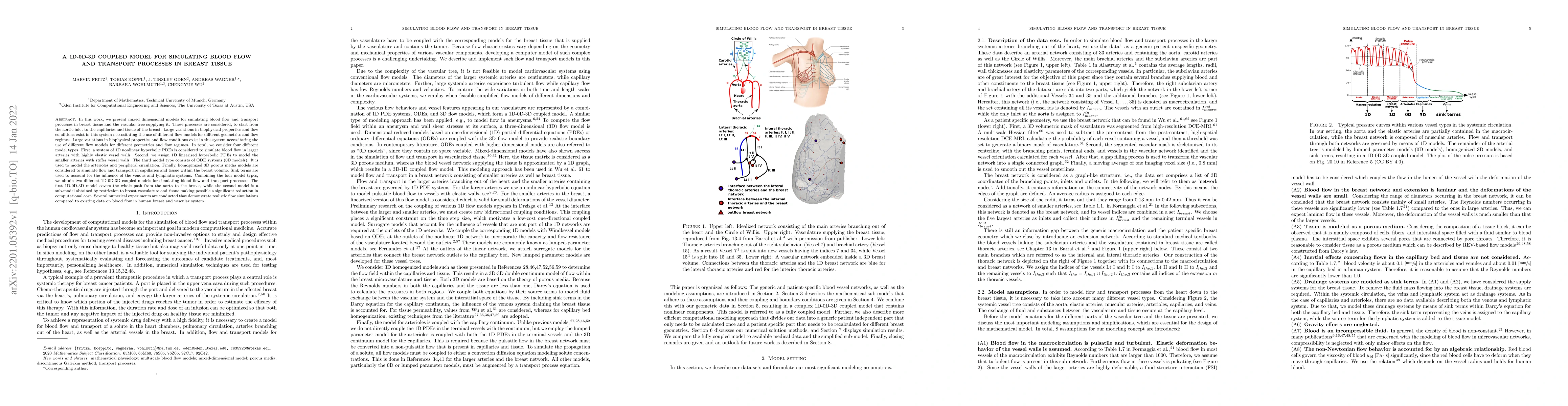 Thumbnail for A 1D-0D-3D coupled model for simulating blood flow and transport
  processes in breast tissue
