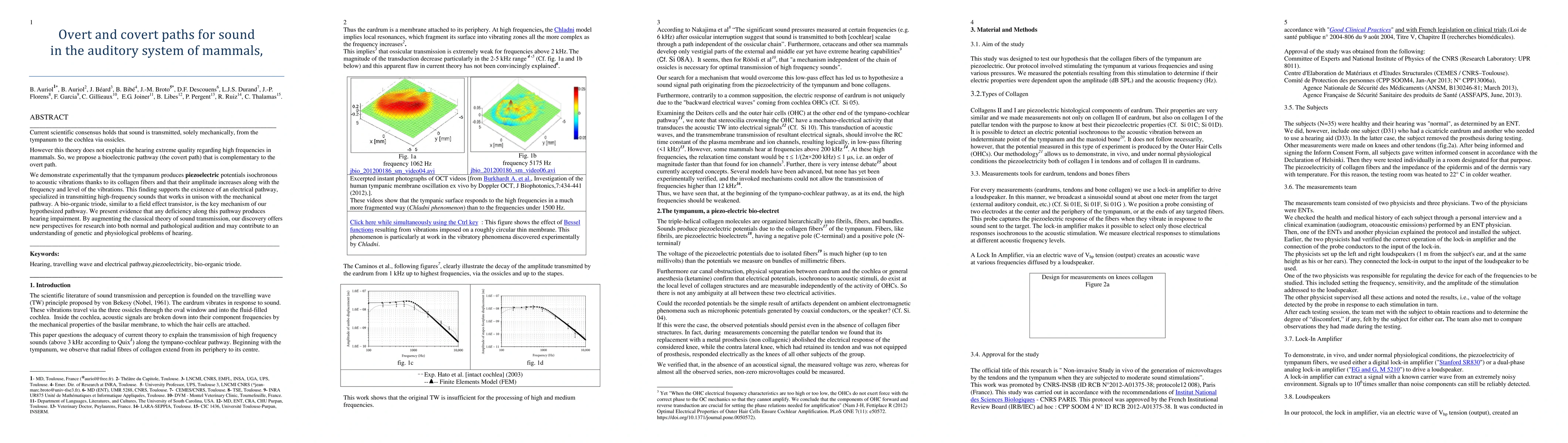 Thumbnail for Overt and covert paths for sound in the auditory system of mammals. 2