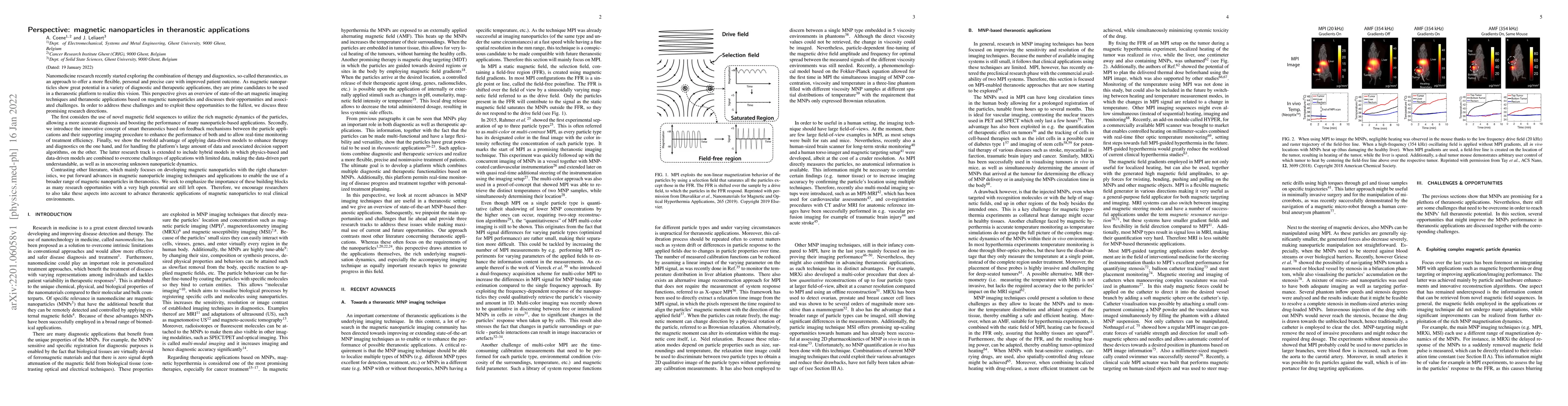 Thumbnail for Perspective: magnetic nanoparticles in theranostic applications