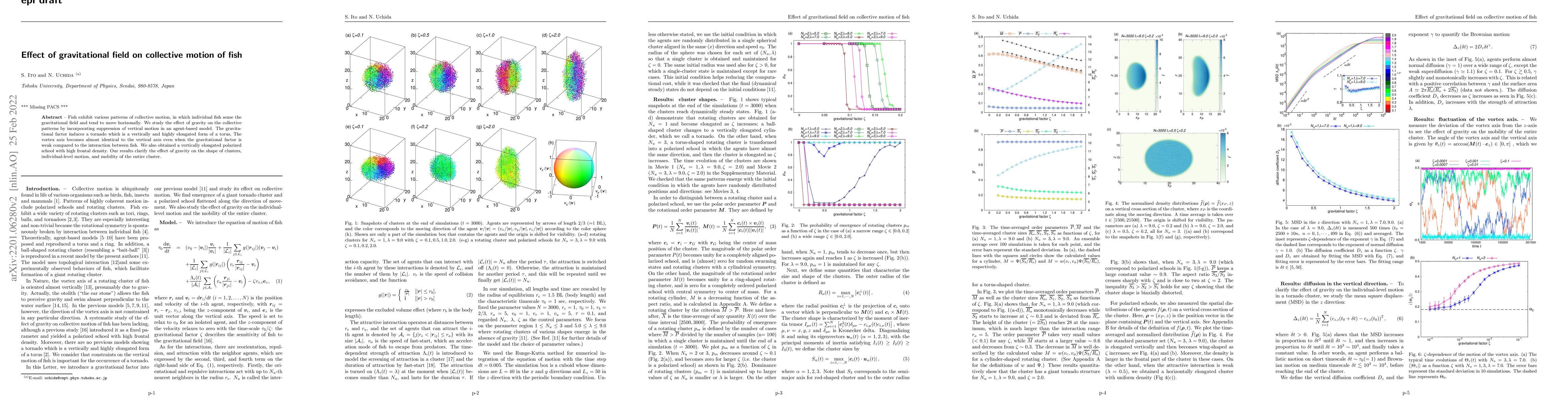 Thumbnail for Effect of gravitational field on collective motion of fish