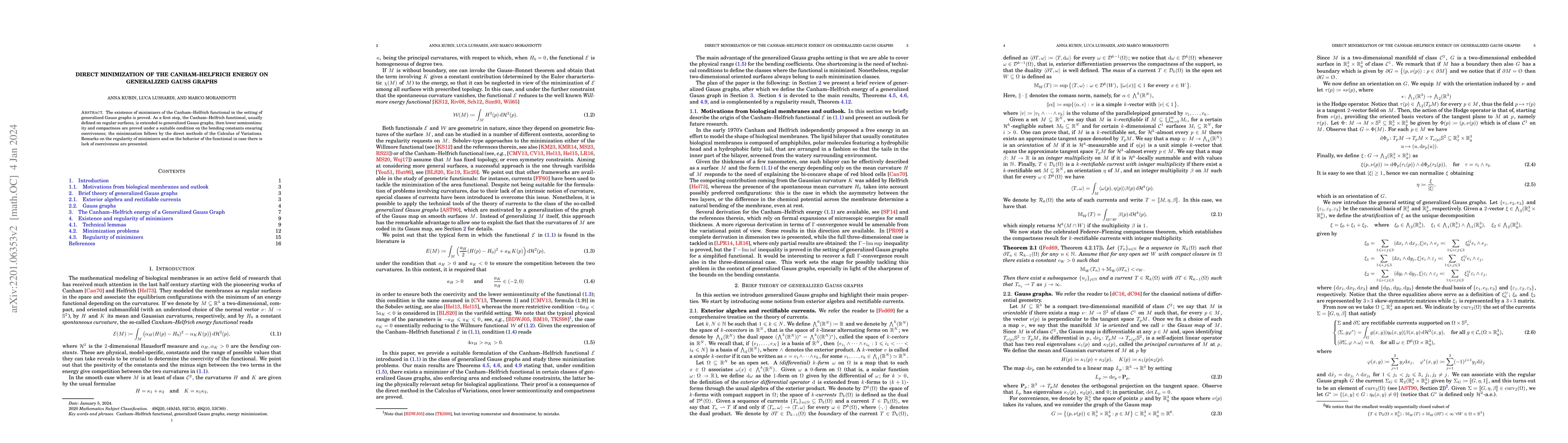 Thumbnail for Direct minimization of the Canham--Helfrich energy on generalized Gauss
  graphs