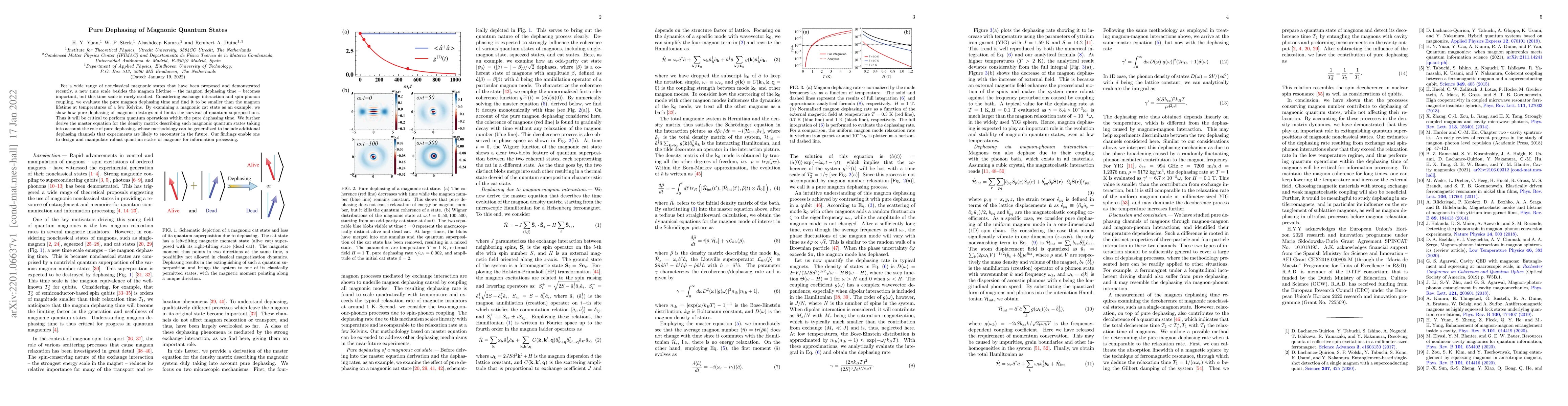 Thumbnail for Pure dephasing of magnonic quantum states