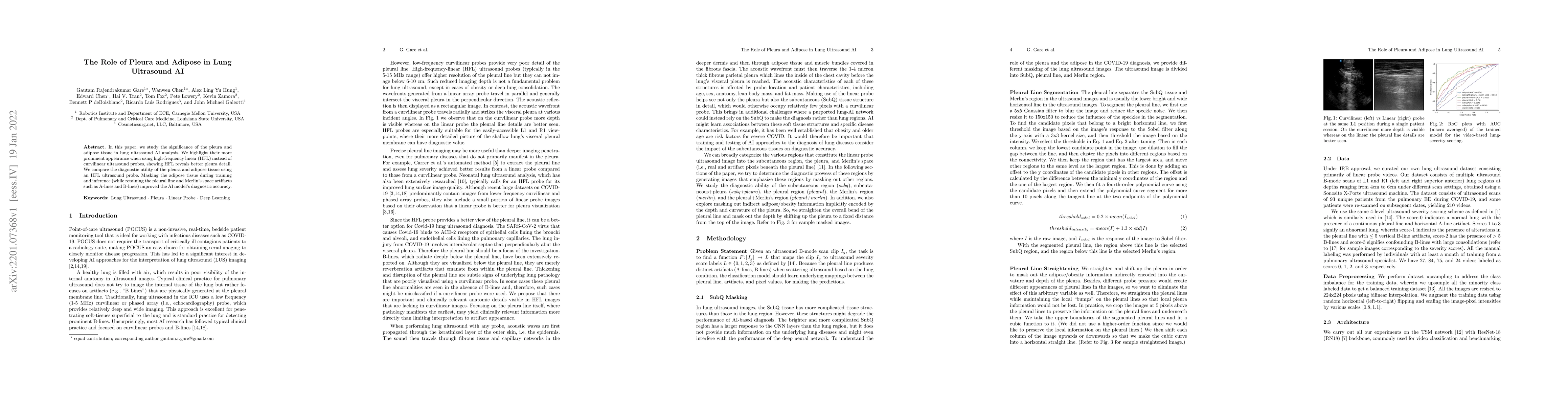 Thumbnail for The Role of Pleura and Adipose in Lung Ultrasound AI