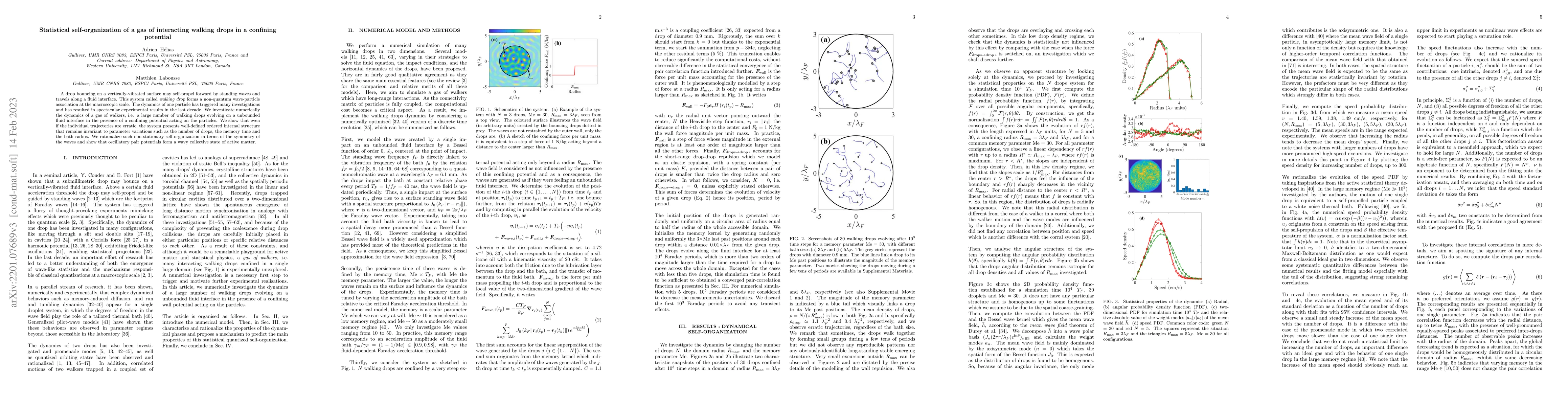 Thumbnail for Statistical self-organization of a gas of interacting walking drops in a
  confining potential